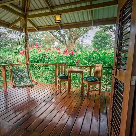 The Hummingbird Hotel Bocas del Toro Exterior photo