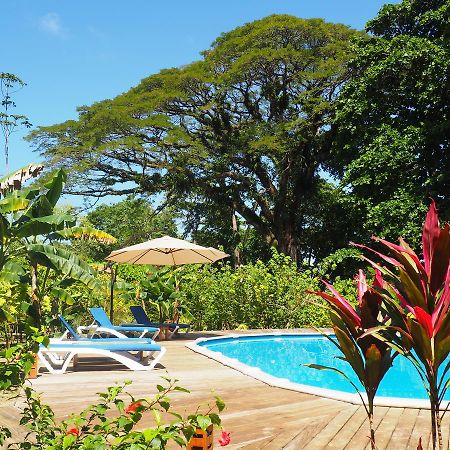 The Hummingbird Hotel Bocas del Toro Exterior photo
