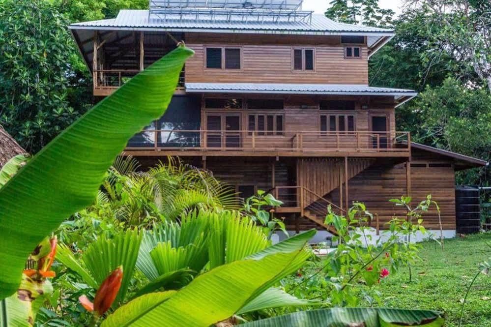 The Hummingbird Hotel Bocas del Toro Exterior photo