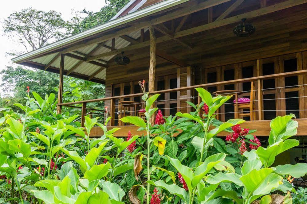 The Hummingbird Hotel Bocas del Toro Exterior photo