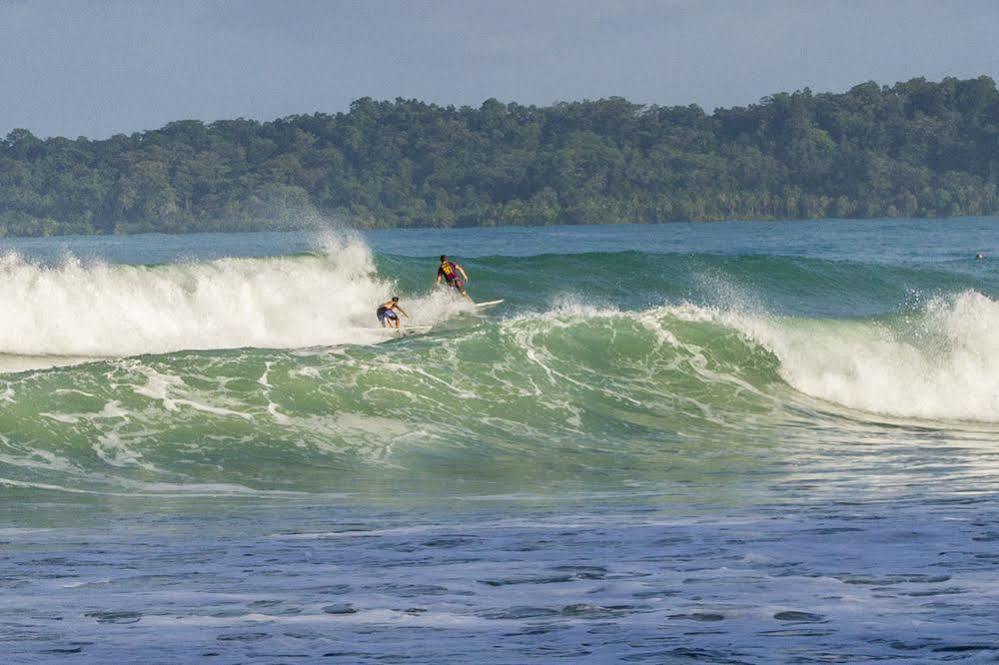 The Hummingbird Hotel Bocas del Toro Exterior photo